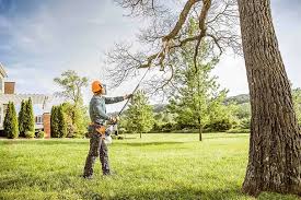 Pest Control for Lawns in Fabens, TX